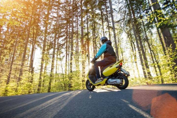 Person on a yellow scooter riding through a sunlit forest with tall trees.